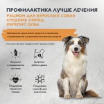 Купить Гипоаллергенный низкозерновой корм Brit Care с индейкой для собак средних пород, здоровые зубы, 1,5 кг Brit Care в Калиниграде с доставкой (фото 1)