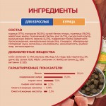 Купить Сухой корм Purina ONE для взрослых собак средних и крупных пород с курицей и рисом, 10 кг PURINA ONE в Калиниграде с доставкой (фото 18)