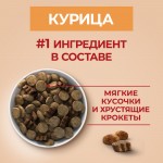 Купить Сухой корм Purina ONE для взрослых собак средних и крупных пород с курицей и рисом, 10 кг PURINA ONE в Калиниграде с доставкой (фото 1)