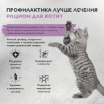 Купить Гипоаллергенный низкозерновой корм Brit Care для котят, с индейкой, 1,5 кг Brit Care в Калиниграде с доставкой (фото 1)