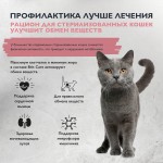 Купить Гипоаллергенный низкозерновой корм Brit Care для стерилизованных кошек, улучшенный обмен веществ, с индейкой, 7 кг Brit Care в Калиниграде с доставкой (фото 1)