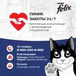 Купить Felix Двойная вкуснятина для домашних кошек, с мясом, 10 кг Felix в Калиниграде с доставкой (фото 11)