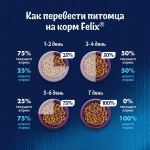 Купить Felix Двойная вкуснятина для домашних кошек, с мясом, 10 кг Felix в Калиниграде с доставкой (фото 9)