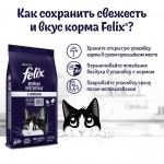 Купить Felix Двойная вкуснятина для домашних кошек, с мясом, 10 кг Felix в Калиниграде с доставкой (фото 4)