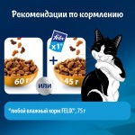 Купить Felix Двойная вкуснятина для домашних кошек, с птицей, 10 кг Felix в Калиниграде с доставкой (фото 7)