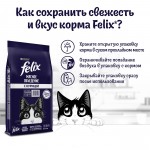 Купить Felix Двойная вкуснятина для домашних кошек, с птицей, 10 кг Felix в Калиниграде с доставкой (фото 10)