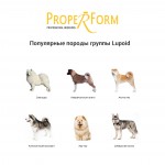 Купить Proper Form Nordic & Oriental Lupoid Type 1 Duck корм щенков и взрослых собак средних пород, с уткой, 18 кг Proper Form в Калиниграде с доставкой (фото 1)