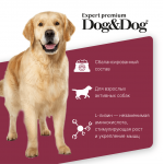 Купить Dog&Dog Expert Premium Super-Power сухой корм для взрослых активных собак с курицей, 3 кг Dog&Dog в Калиниграде с доставкой (фото 2)