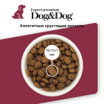 Купить Dog&Dog Expert Premium Super-Power сухой корм для взрослых активных собак с курицей, 3 кг Dog&Dog в Калиниграде с доставкой (фото 1)