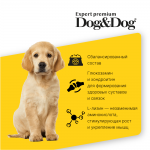 Купить Dog&Dog Expert Premium Great-Progress сухой корм для щенков с курицей, 3 кг Dog&Dog в Калиниграде с доставкой (фото 3)
