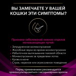 Купить Purina Pro Plan Veterinary diets UR для кошек при болезнях мочевыводящих путей c курицей, 5 кг Pro Plan Veterinary Diets в Калиниграде с доставкой (фото 1)