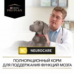 Купить Purina Pro Plan Veterinary Diets NC диета для поддержания функции мозга у собак, 3 кг Pro Plan Veterinary Diets в Калиниграде с доставкой (фото 14)