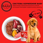 Купить Консервы для собак всех пород с 6 месяцев Lucky bits с говядиной, клюква и тыква, 400 г Lucky bits в Калиниграде с доставкой (фото 3)
