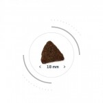 Сухой беззерновой холистик корм для пожилых собак всех пород Pro-Nutrition Flatazor Pure Life Adult 7+, с уткой и белой рыбой, 2 кг