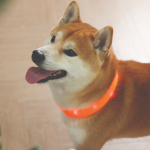 Купить M-PETS Светящийся ошейник FLASH LED, размер M, 1.5 x 65 см, цвет оранжевый M-Pets в Калиниграде с доставкой (фото 5)