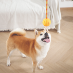 Купить M-PETS Светящийся мяч на веревке FLASH LED, размер 6.4 x 50 см M-Pets в Калиниграде с доставкой (фото 5)