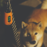 Купить M-PETS Бокс для гигиенических пакетов с фонариком FLASH LED, размеры 10 x 4.5 см M-Pets в Калиниграде с доставкой (фото 5)