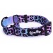 Ошейник-мартингейл для собак LionPets LPO-00501-5, Размер: S обхват 18-30 см, длина петли 10 см, ширина 2,5 см