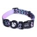 Ошейник для собак LionPets с рисунком из полиэстера, Обхват 40-65 см, ширина 2,5 см