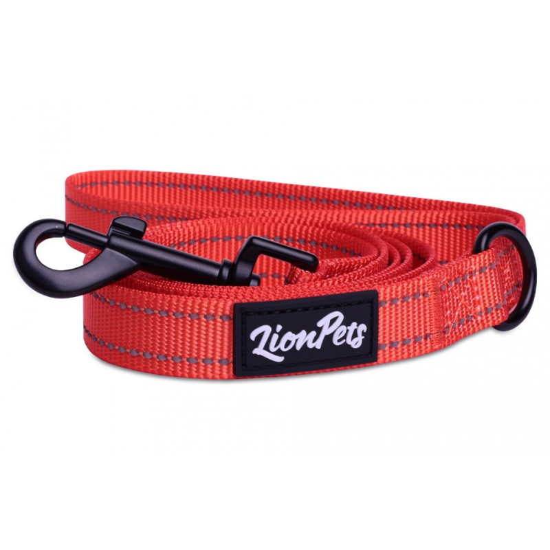 Купить Поводок для собак LionPets из полиэстера со светоотражающими полосками, Ширина 2.0 см, длина 1,5 метра, Оранжевый LionPets в Калиниграде с доставкой (фото)