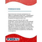 Купить Сухой корм FORZA10 DOG ACTIVE VET DIET ULTRA DERMO для взрослых собак всех пород при заболеваниях кожи (1,5 кг) Forza 10 в Калиниграде с доставкой (фото 2) Купить Сухой корм FORZA10 DOG ACTIVE VET DIET ULTRA DERMO для взрослых собак всех пород при заболеваниях кожи (1,5 кг) Forza 10 в Калиниграде с доставкой (фото 2)