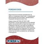 Купить Сухой корм FORZA10 DOG ACTIVE VET DIET DERMO для взрослых собак всех пород при заболеваниях кожи 10 кг Forza 10 в Калиниграде с доставкой (фото 3) Купить Сухой корм FORZA10 DOG ACTIVE VET DIET DERMO для взрослых собак всех пород при заболеваниях кожи 10 кг Forza 10 в Калиниграде с доставкой (фото 3)