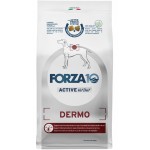 Купить Сухой корм FORZA10 DOG ACTIVE VET DIET DERMO для взрослых собак всех пород при заболеваниях кожи 10 кг Forza 10 в Калиниграде с доставкой. Категория FORZA10 Купить Сухой корм FORZA10 DOG ACTIVE VET DIET DERMO для взрослых собак всех пород при заболеваниях кожи 10 кг Forza 10 в Калиниграде с доставкой (фото)