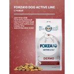 Купить Сухой корм FORZA10 DOG ACTIVE VET DIET DERMO для взрослых собак всех пород при заболеваниях кожи 10 кг Forza 10 в Калиниграде с доставкой (фото 2) Купить Сухой корм FORZA10 DOG ACTIVE VET DIET DERMO для взрослых собак всех пород при заболеваниях кожи 10 кг Forza 10 в Калиниграде с доставкой (фото 2)