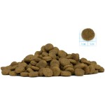 Купить Сухой корм FORZA10 DOG MEDIUM MONODIET LOW GRAIN монобелковый для взрослых собак средних пород при аллергии с рыбой (1,5 кг) Forza 10 в Калиниграде с доставкой (фото 3)