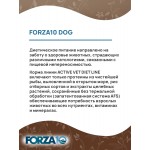Купить Сухой корм FORZA10 DOG ACTIVE VET DIET GASTROENTERIC LOW FAT для взрослых собак всех пород при острых заболеваниях желудочно-кишечного тракта 10 кг Forza 10 в Калиниграде с доставкой (фото 3)