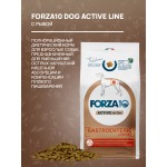 Купить Сухой корм FORZA10 DOG ACTIVE VET DIET GASTROENTERIC LOW FAT для взрослых собак всех пород при острых заболеваниях желудочно-кишечного тракта 10 кг Forza 10 в Калиниграде с доставкой (фото 2)