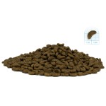 Купить Сухой корм FORZA10 CAT MONODIET LOW GRAIN монобелковый для взрослых кошек при аллергии с рыбой 1,5 кг Forza 10 в Калиниграде с доставкой (фото 3)