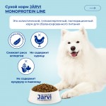 Купить Jarvi сухой монопротеиновый полнорационный корм для взрослых собак средних и крупных пород с чувствительным пищеварением Jarvi в Калиниграде с доставкой (фото 1)