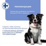 Купить Jarvi вяленое лакомство хворост из индейки для собак и щенков всех пород Jarvi в Калиниграде с доставкой (фото 4)