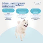 Купить Jarvi сухой монопротеиновый полнорационный корм для взрослых собак средних и крупных пород с чувствительным пищеварением Jarvi в Калиниграде с доставкой (фото 5)