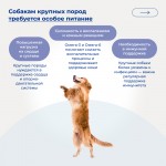 Купить Jarvi сухой полнорационный корм для взрослых собак средних и крупных пород Jarvi в Калиниграде с доставкой (фото 4)