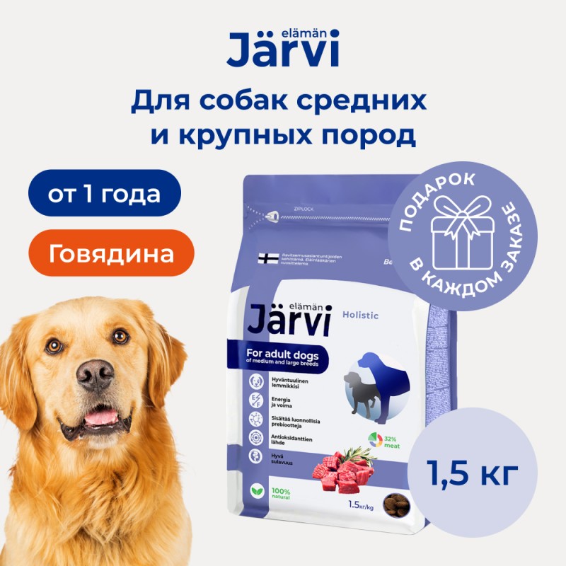 Купить Jarvi сухой полнорационный корм для взрослых собак средних и крупных пород Jarvi в Калиниграде с доставкой (фото)