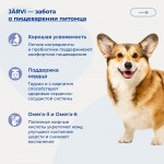 Купить Jarvi сухой полнорационный корм для взрослых собак средних и крупных пород с чувствительным пищеварением Jarvi в Калиниграде с доставкой (фото 5)