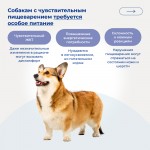 Купить Jarvi сухой полнорационный корм для взрослых собак средних и крупных пород с чувствительным пищеварением Jarvi в Калиниграде с доставкой (фото 4)
