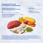Купить Jarvi сухой полнорационный корм для взрослых собак мелких пород Jarvi в Калиниграде с доставкой (фото 5)