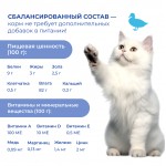 Купить Jarvi пауч для стерилизованных кошек (кусочки в соусе) Jarvi в Калиниграде с доставкой (фото 2)