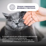 Купить Jarvi Preventive diet line Renal пауч для кошек для профилактики заболеваний почек (соус) Jarvi в Калиниграде с доставкой (фото 4)