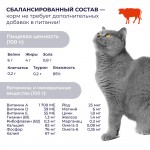 Купить Jarvi Preventive diet line Renal пауч для кошек для профилактики заболеваний почек (соус) Jarvi в Калиниграде с доставкой (фото 6)