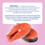 Купить Jarvi Extra meat line пауч для кошек для красивой шерсти и здоровой кожи (кусочки в желе) Jarvi в Калиниграде с доставкой (фото 3)