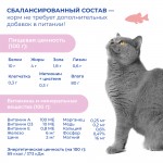 Купить Jarvi Extra meat line пауч для кошек для красивой шерсти и здоровой кожи (кусочки в желе) Jarvi в Калиниграде с доставкой (фото 5)