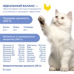 Купить Jarvi крем-суп с филе курицы для кошек и котят Jarvi в Калиниграде с доставкой (фото 5)