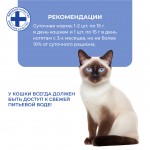 Купить Jarvi крем-суп с филе курицы для кошек и котят Jarvi в Калиниграде с доставкой (фото 6)