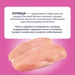 Купить Jarvi Preventive diet line Urinary пауч для кошек для профилактики заболеваний МКБ (соус) Jarvi в Калиниграде с доставкой (фото 3)
