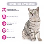 Купить Jarvi Preventive diet line Urinary пауч для кошек для профилактики заболеваний МКБ (соус) Jarvi в Калиниграде с доставкой (фото 1)