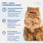 Купить Jarvi сухой полнорационный корм для взрослых кошек с чувствительным пищеварением Jarvi в Калиниграде с доставкой (фото 5)